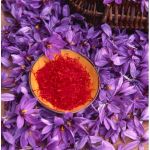 Saffron Bulb Extract